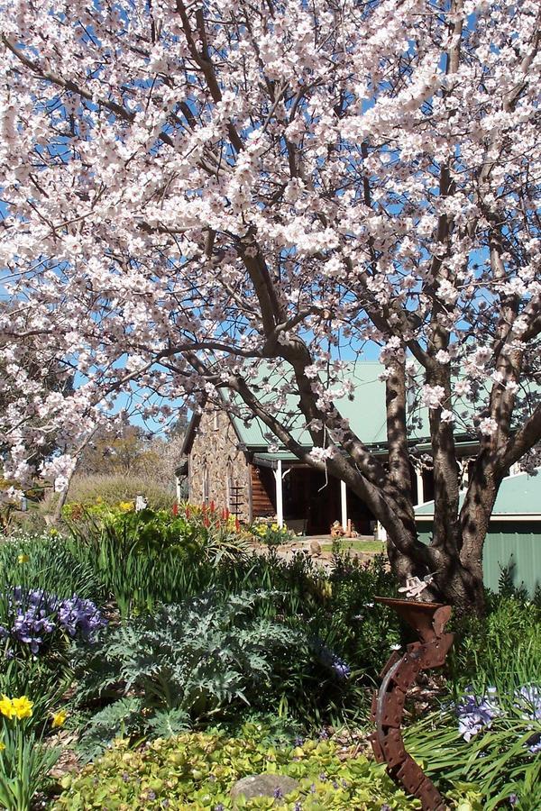 Inspiring Views B&B Wodonga Dış mekan fotoğraf
