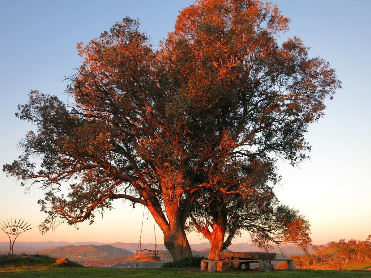 Inspiring Views B&B Wodonga Dış mekan fotoğraf